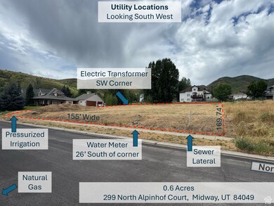 299 N Alpenhof Ct unit 5, Midway, UT 84049 - photo 2