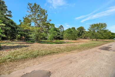 25254 River Run Rd, Hockley, TX 77447 - photo 5