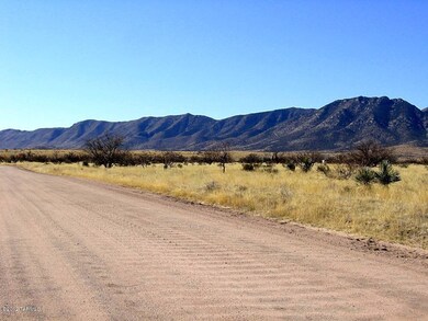 Desert Road