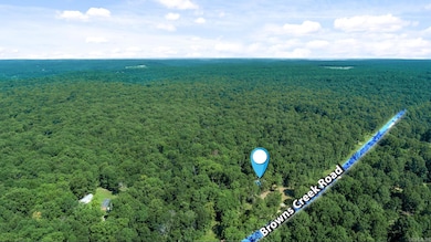 696 Browns Creek Rd, Ravenden, AR 72459 - photo 4