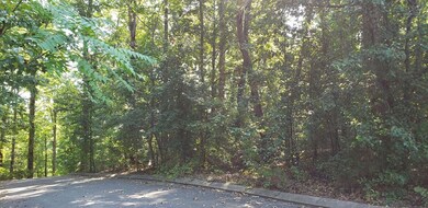 11 Shady Oaks Dr, Dunlap, TN 37327 - photo 3