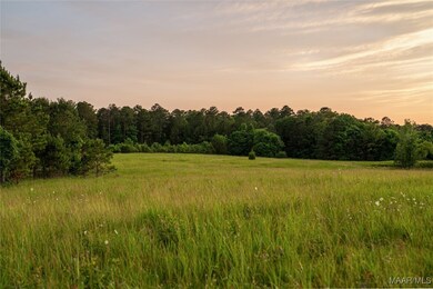 140 Flowers Rd, Fitzpatrick, AL 36029 - photo 7