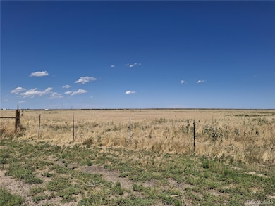 2520 Peoria Rd, Byers, CO 80103 - photo 3