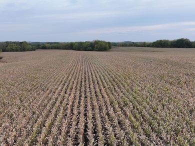 0 Fox Rd, Fayette, IA 52142 - photo 2