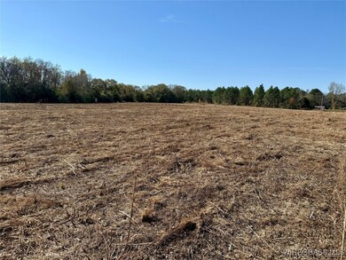 6.74 Acres Huskey Rd, Dothan, AL 36303 - photo 7