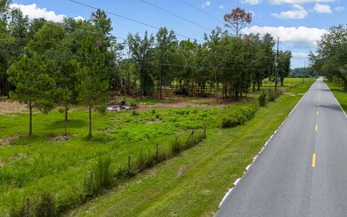 0 Lot 12 167th Rd unit 127741, Live Oak, FL 32060 - photo 4
