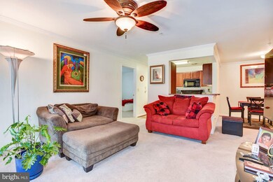 9131 Gracious End Ct, Columbia, MD 21046 - photo 7