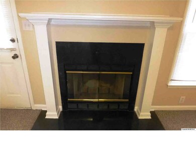 Wood Burning Fireplace