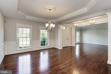 41638 Revival Dr, Ashburn, VA 20148 - photo 5