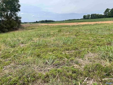 21512 Holland Rd, Athens, AL 35614 - photo 5