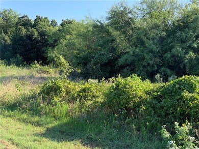 27156 Whispering Meadow, Whitney, TX 76692 - photo 2