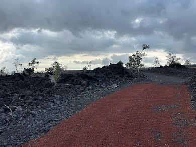 Natural hardened lava rock and Ohia Lehua border the pathway .