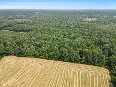 006_dji_0677