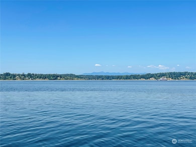 12808 Drayton Rd, Anderson Island, WA 98303 - photo 6