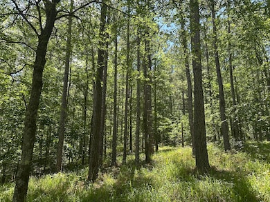 Lot 27 Honeysuckle Trail, Lincolnton, GA 30817 - photo 4