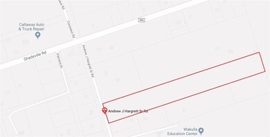 0 Andrew J Hargrett Sr Rd, Crawfordville, FL 32327 - photo 3