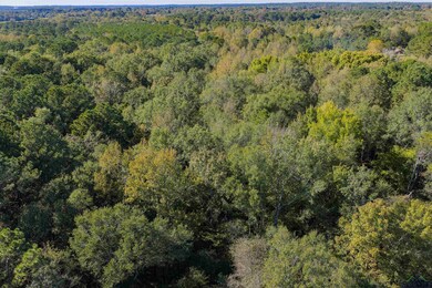 TBD Hwy 49 unit CR 3422, Jefferson, TX 75657 - photo 2