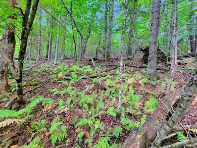 201-096 Lakeside Dr, Haverhill, NH 03784 - photo 6