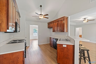 115 Tahoe Cir, Harvest, AL 35749 - photo 6