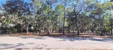 826 Bridge Island Dr NE, Townsend, GA 31331 - photo 4