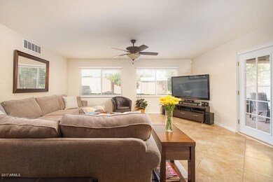 The Living Area