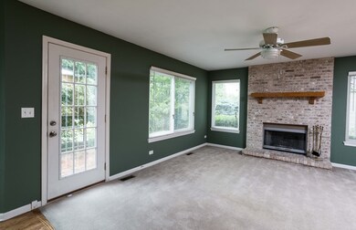 917 Cortney Dr, Carpentersville, IL 60110 - photo 6