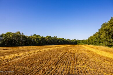 TBD 430 Ave SW, East Grand Forks, MN 56721 - photo 7