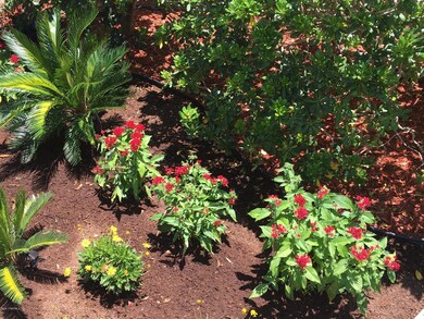 947 Moravon Ave, Jacksonville, FL 32211 - photo 6