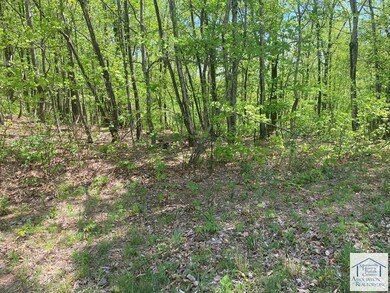 Lot 12 Timber Run Dr, Woolwine, VA 24185 - photo 4