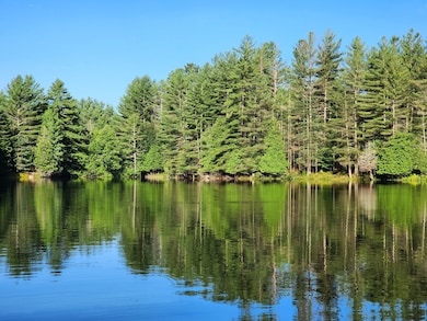 13331 Henry Rd, Diana Center, NY 13648 - photo 6