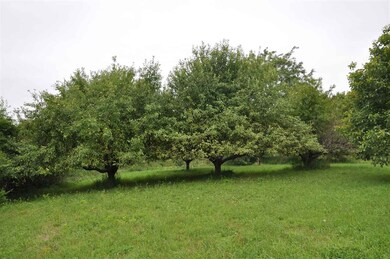 W1788 Mortensen Rd, Brooklyn, WI 53521 - photo 2