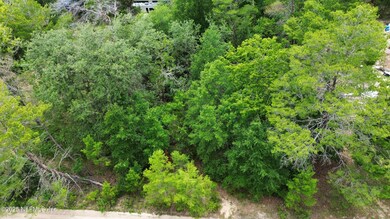 dji_fly_20250606_025206_188_174949879915