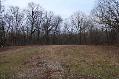 8150 Jacks Run Rd, Freeburg, IL 62243 - photo 4