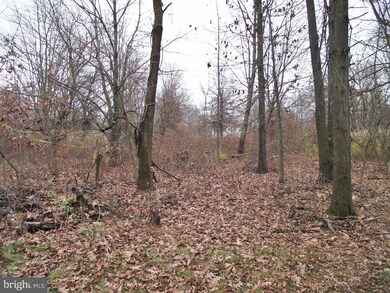 001 Blooming Glen Rd unit 120LOT, Perkasie, PA 18944 - photo 6