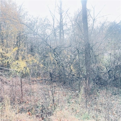 0 1st St, Eden, NC 27288 - photo 3