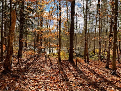 00 Boyd Pond Rd unit Lot 8 & 9, Russell, NY 13684 - photo 3