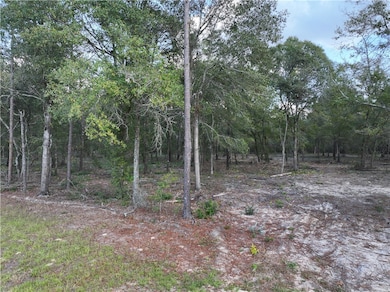 1 Spring Grove Rd, Jesup, GA 31545 - photo 2