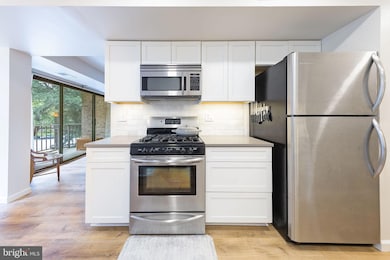 2042 Royal Fern Ct unit 18/11B, Reston, VA 20191 - photo 4