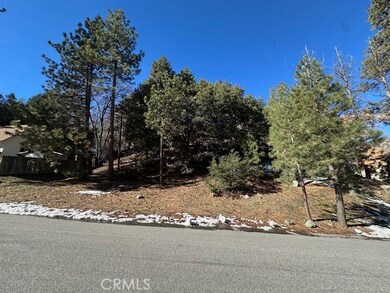 0 Flume unit HD25262637, Wrightwood, CA 92397 - photo 4