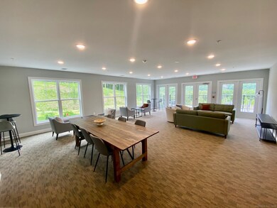 5 Cherry Brook Rd unit 213, Canton, CT 06019 - photo 3
