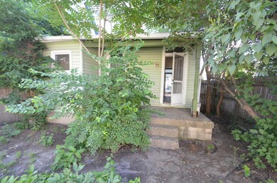 Back yard