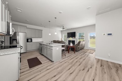 Kitchen featuring stainless steel appliances, gray cabinets, ceiling fan, open floor plan, and light wood-style floors