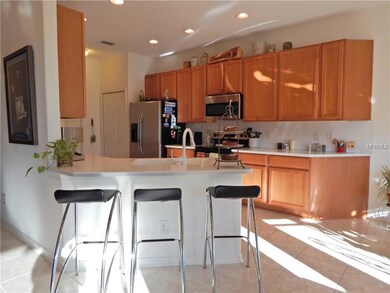 9626 Baton Rouge Ln, Land O Lakes, FL 34638 - photo 4