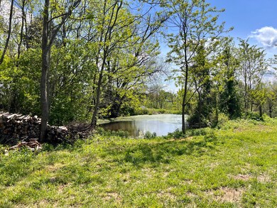 849 Mount Tabor Rd, Ewing, KY 41039 - photo 7