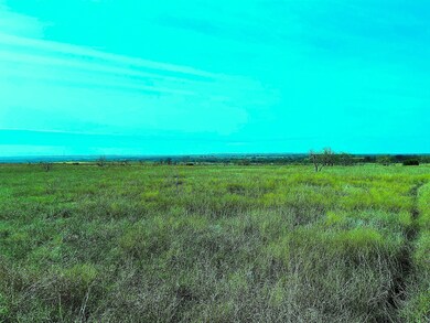 2335 County Road 619, Pottsville, TX 76565 - photo 4