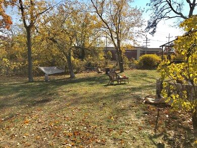 Backyard 1