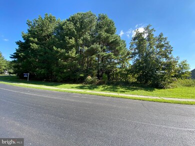 24572 Beaver Way, Georgetown, DE 19947 - photo 7