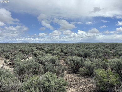 0 Kna Lost Forest Ln unit 4700, Christmasvalley, OR 97641 - photo 4