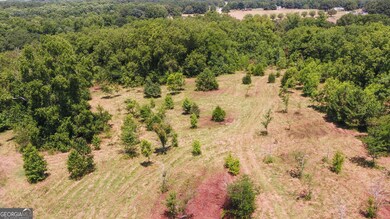 3439 TRACT 3 Providence Church Rd, Hartwell, GA 30643 - photo 4