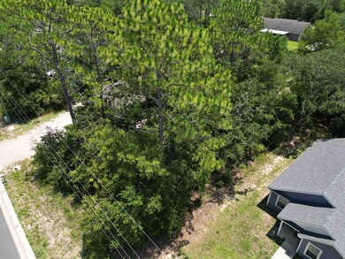 unlisted-address, Crawfordville, FL 32327 - photo 2